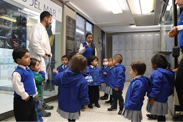 Imagen de Mimositos Jardín Infantil