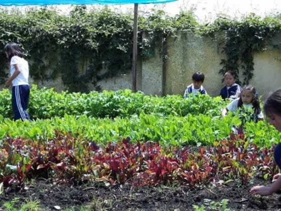 Colegios nasa, colegio siberia, colegio bilingue OAKLAND COLEGIO CAMPESTRE|Costos y Fotos de OAKLAND COLEGIO CAMPESTRE |Colegios en |Los mejores Colegios de |Colegios Calendario A|Colegios  Calendario A en |Colegio ACADEMICO